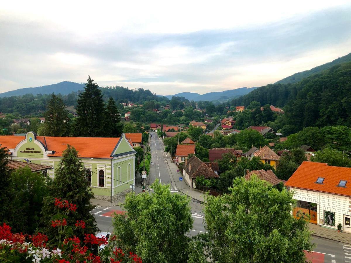 Vila Ursul Negru 소바타 외부 사진