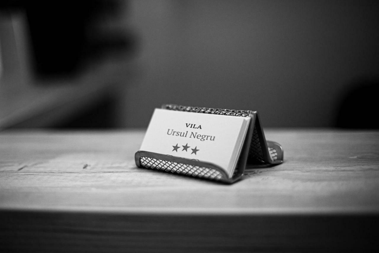Vila Ursul Negru 소바타 외부 사진